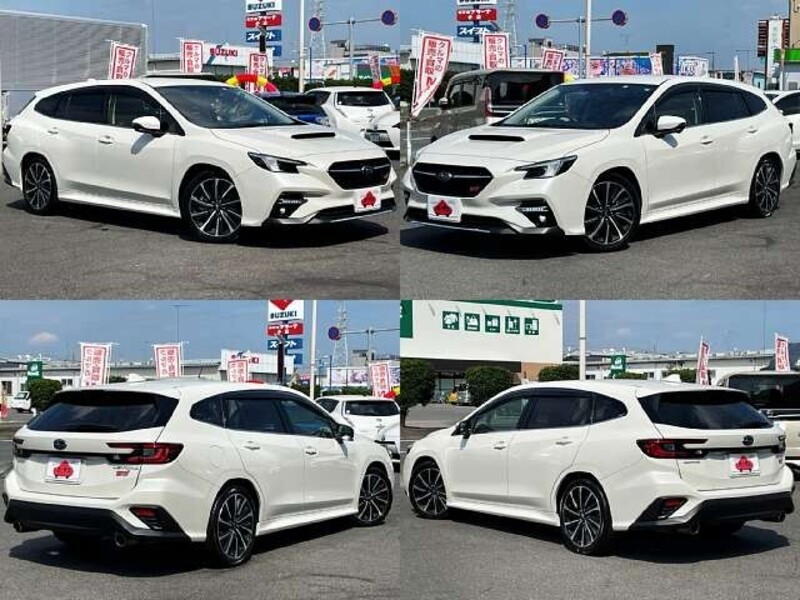 LEVORG