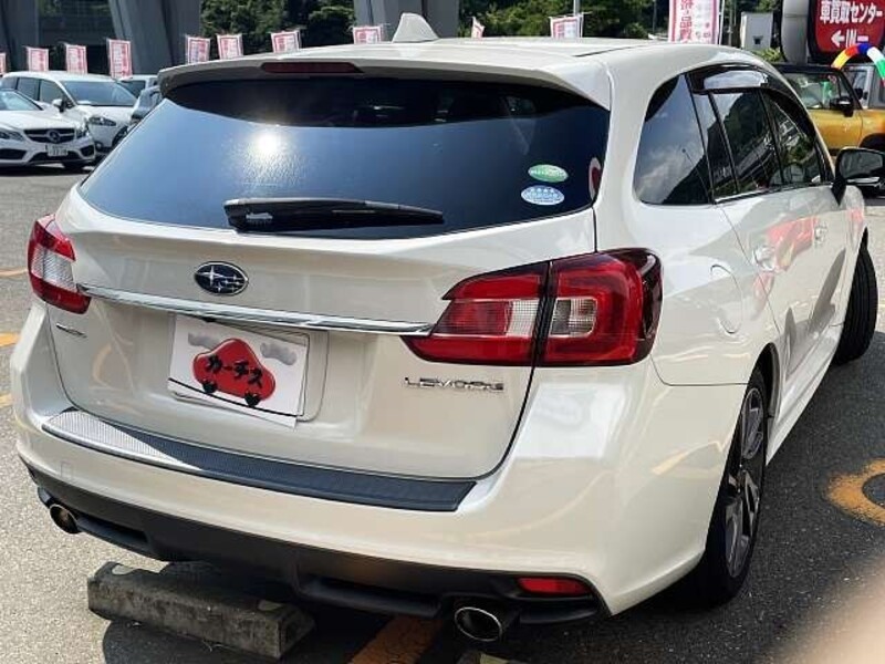 LEVORG