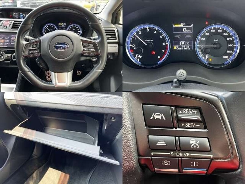 LEVORG