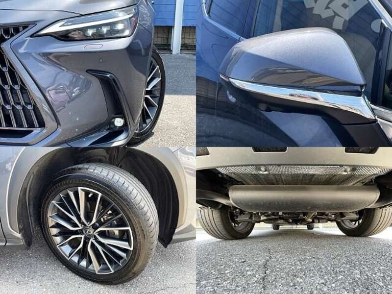 NX
