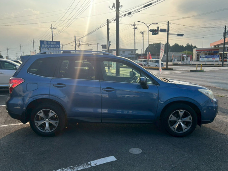 FORESTER