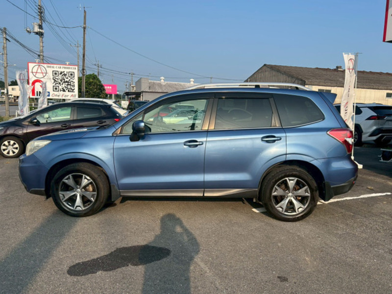 FORESTER