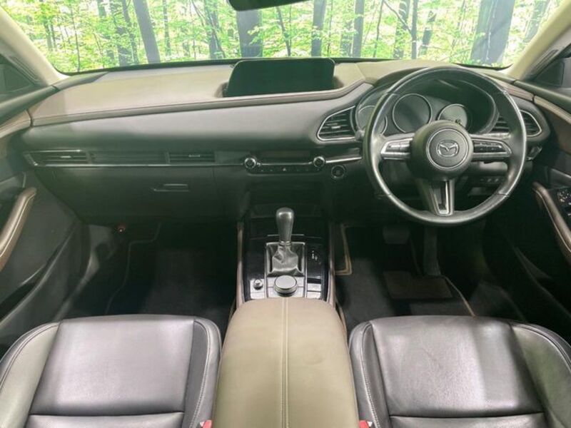 CX-30