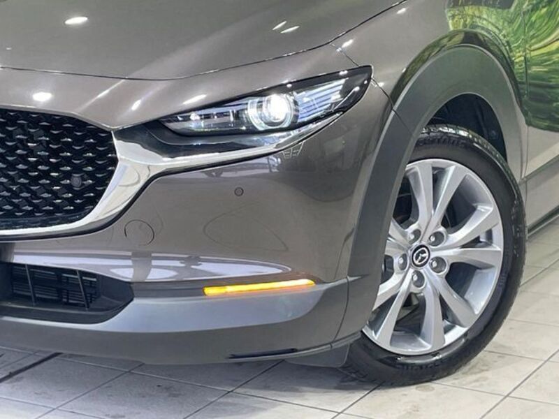 CX-30