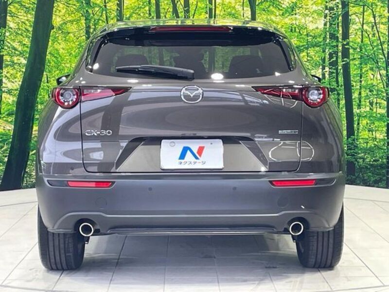 CX-30