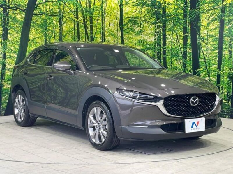 CX-30
