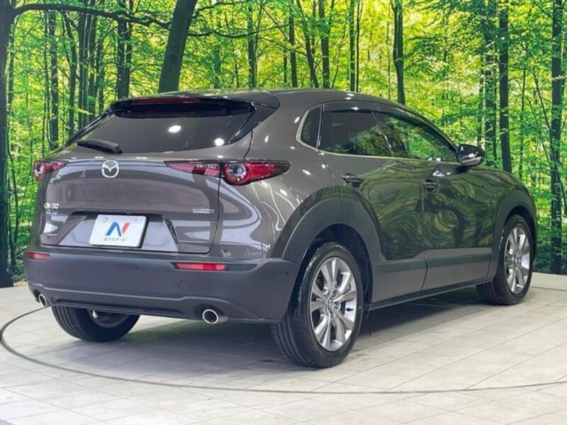CX-30