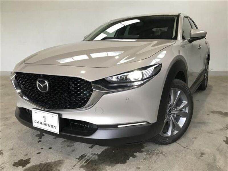 CX-30