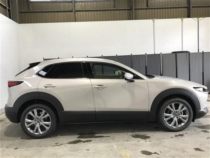 CX-30
