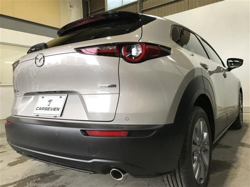 CX-30