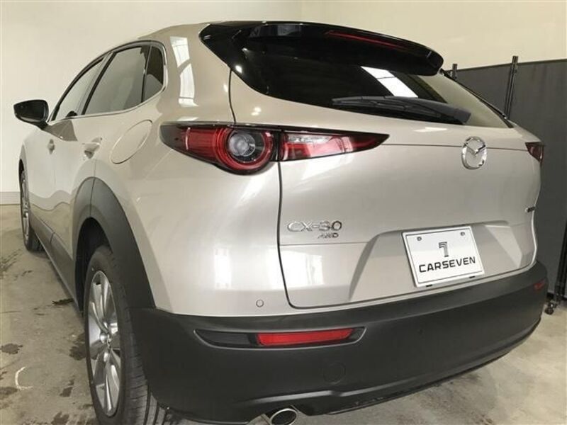 CX-30