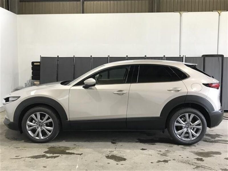 CX-30