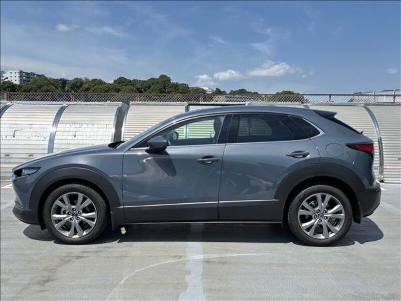 CX-30
