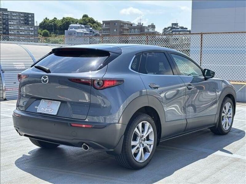 CX-30