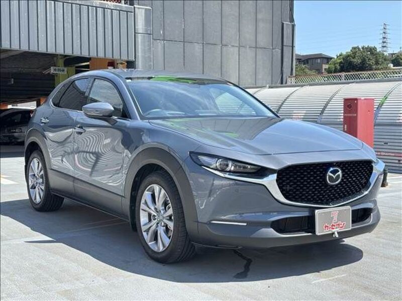 CX-30
