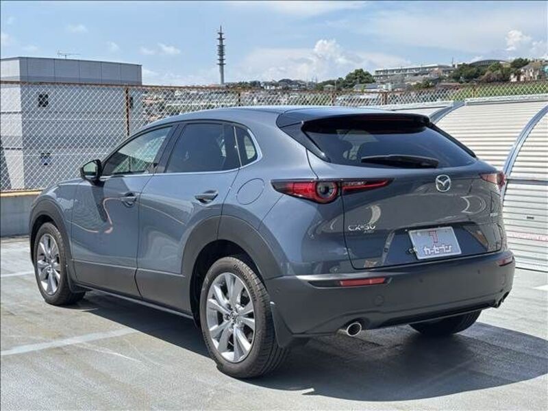 CX-30
