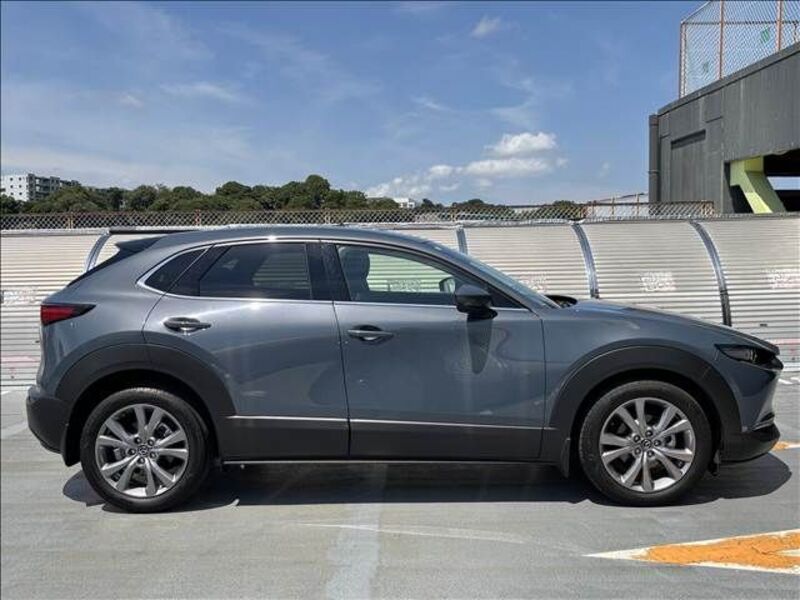 CX-30