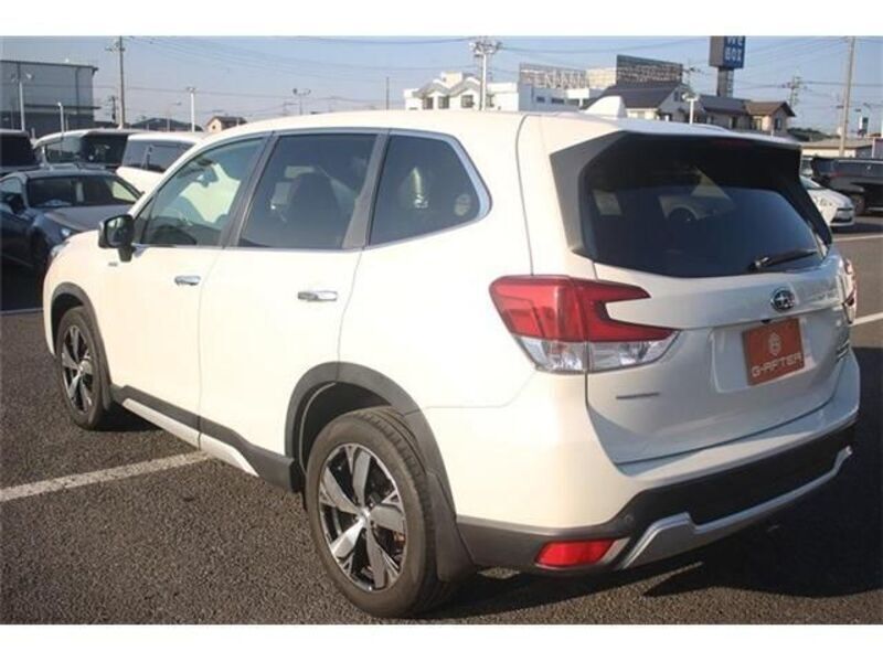 FORESTER