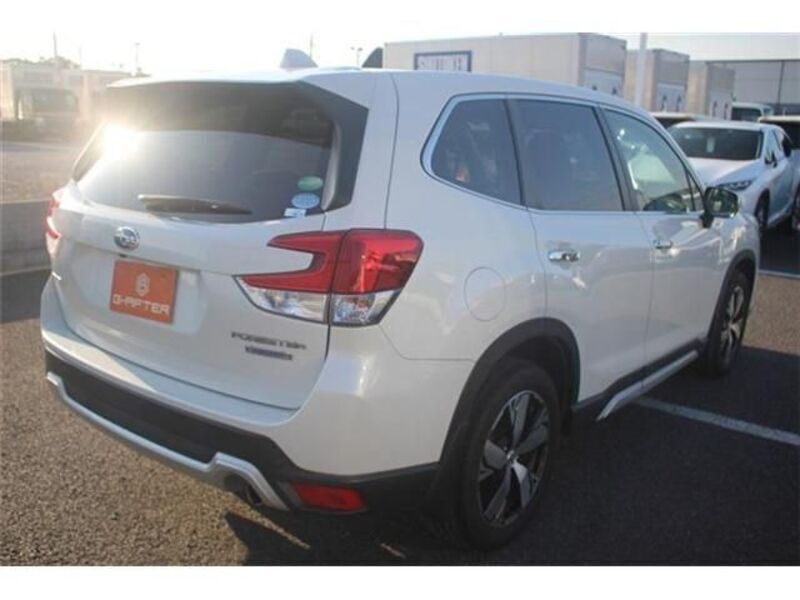 FORESTER