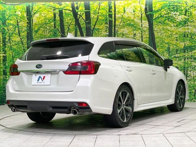 LEVORG