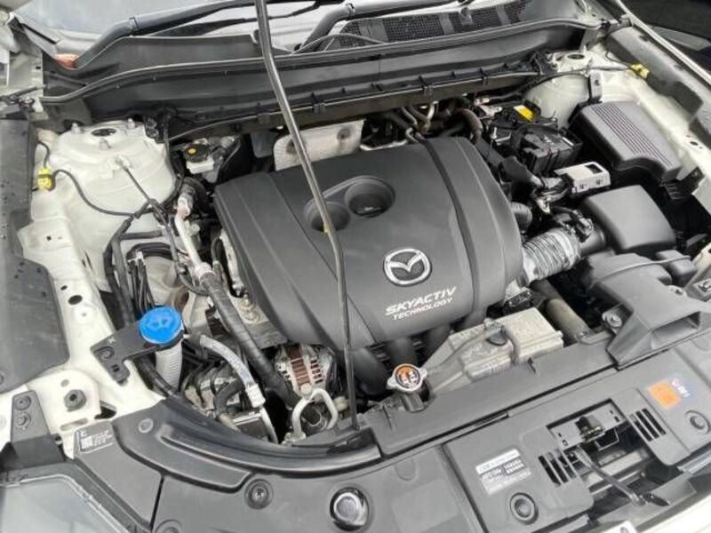 CX-8