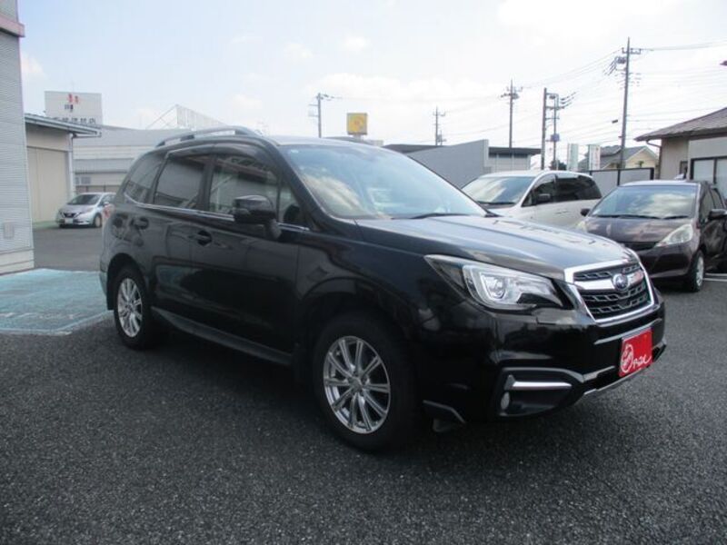 FORESTER