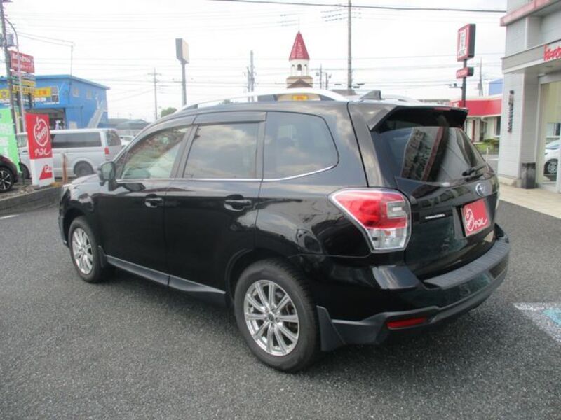 FORESTER