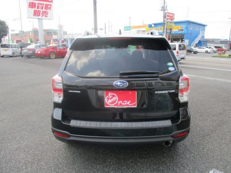FORESTER