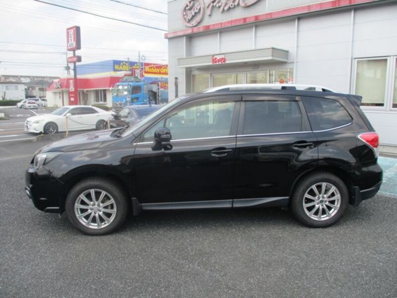 FORESTER