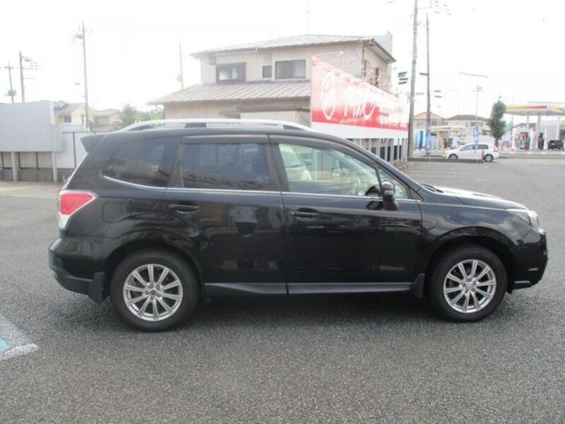 FORESTER