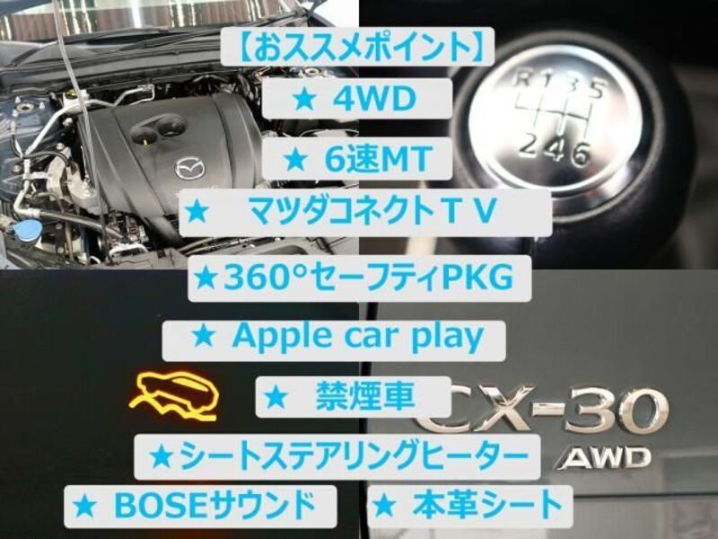 CX-30
