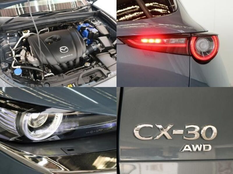CX-30
