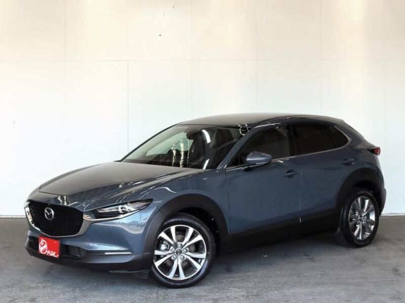 CX-30