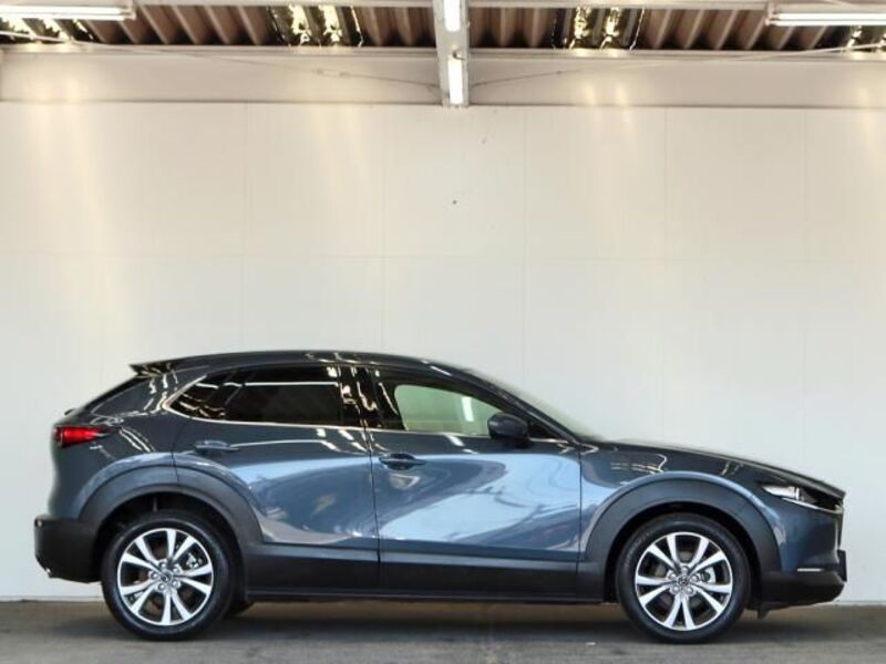CX-30