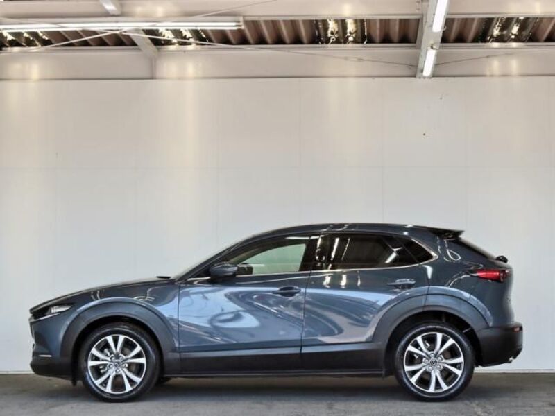 CX-30