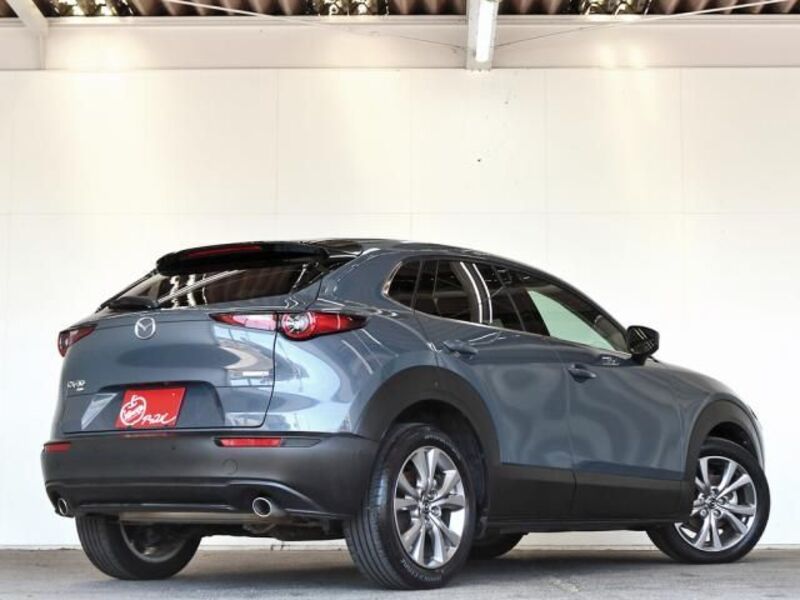 CX-30