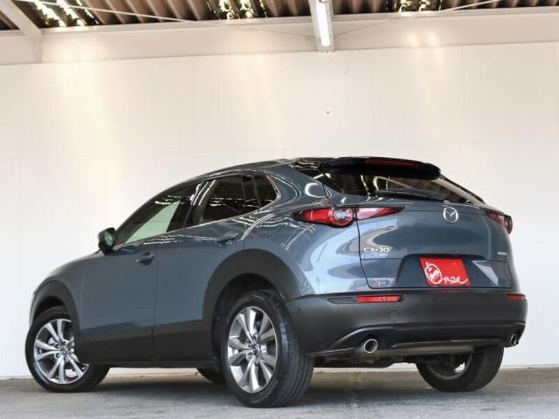 CX-30