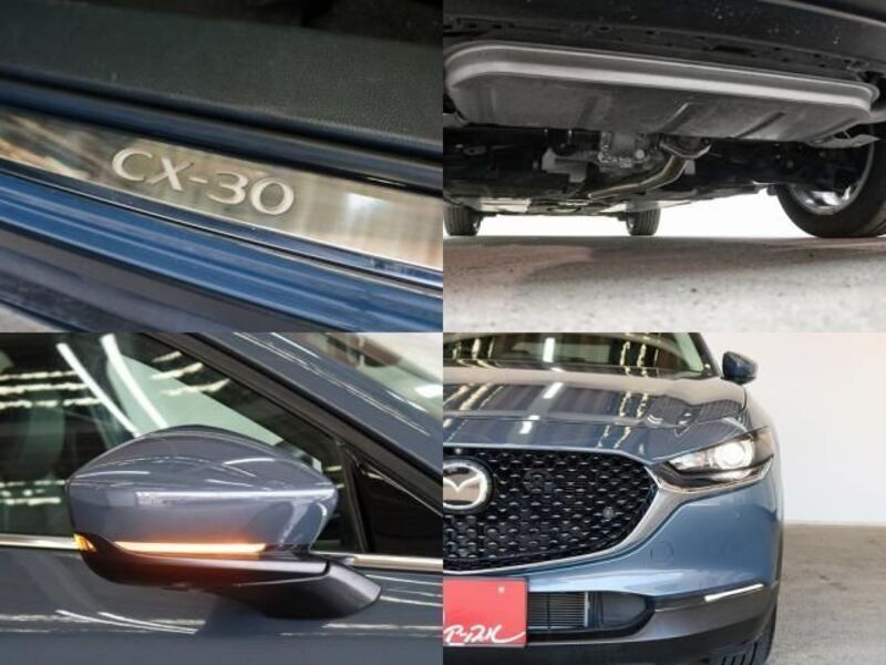 CX-30