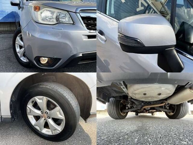 FORESTER