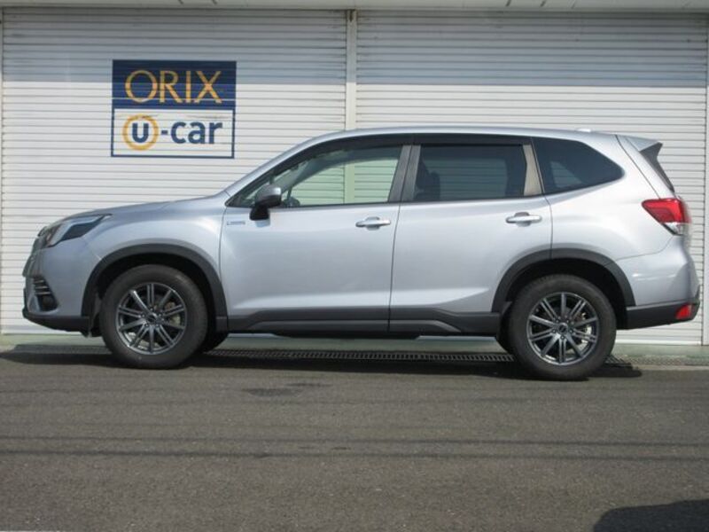 FORESTER
