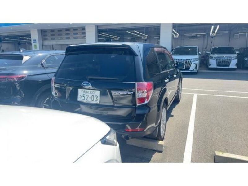 FORESTER