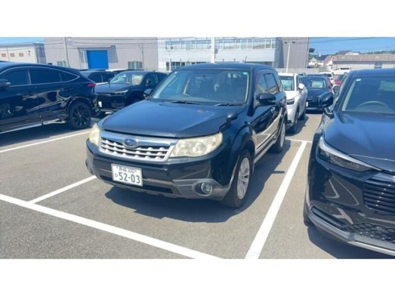FORESTER