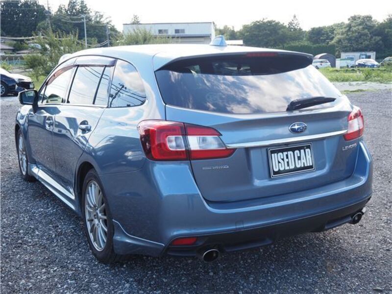 LEVORG