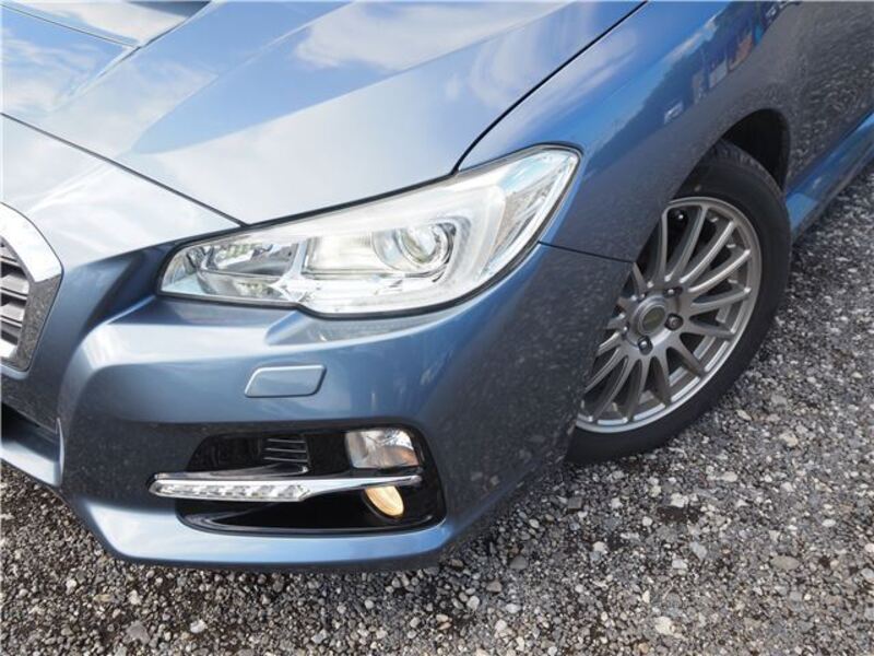 LEVORG