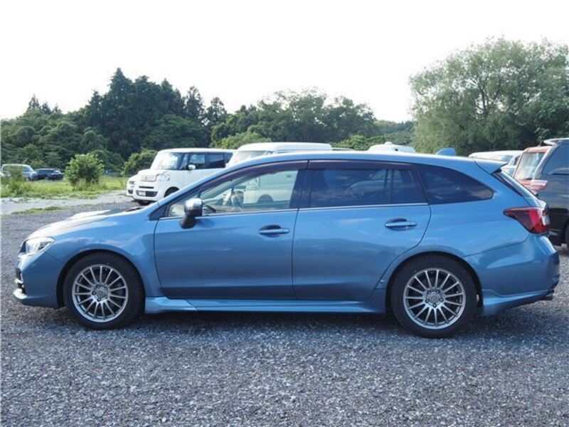 LEVORG