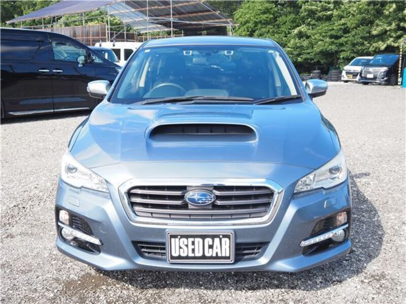 LEVORG