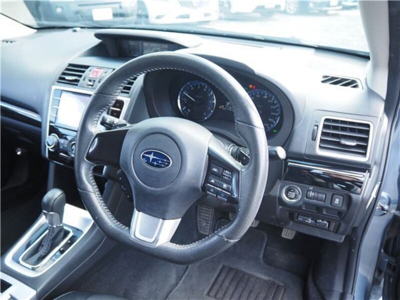 LEVORG