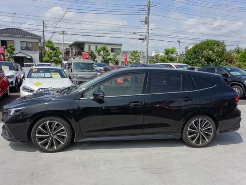 LEVORG