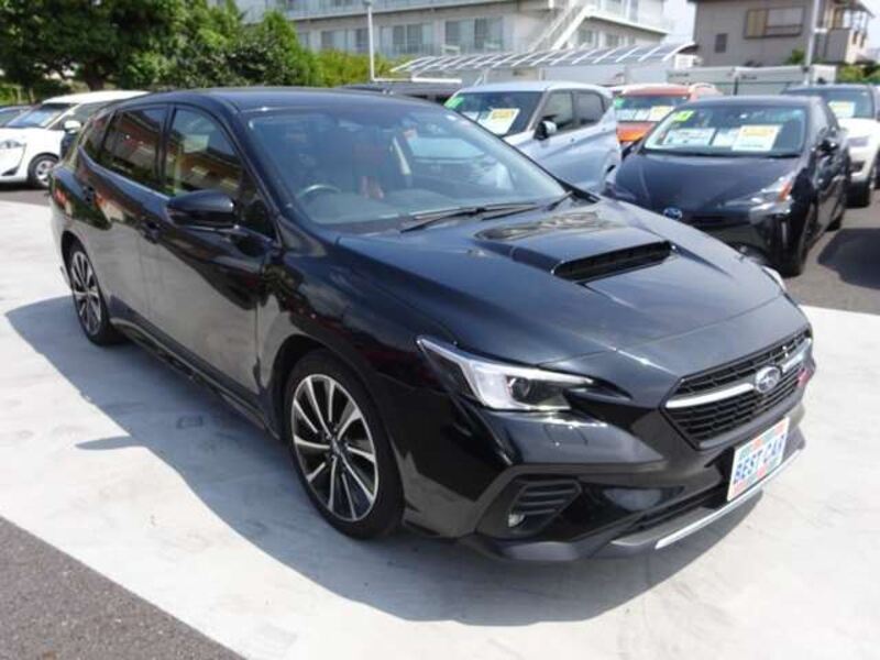 LEVORG
