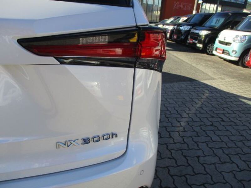 NX